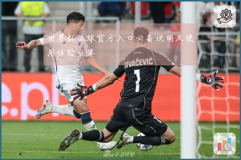 世界杯买球官方入口必备说明及使用体验分享