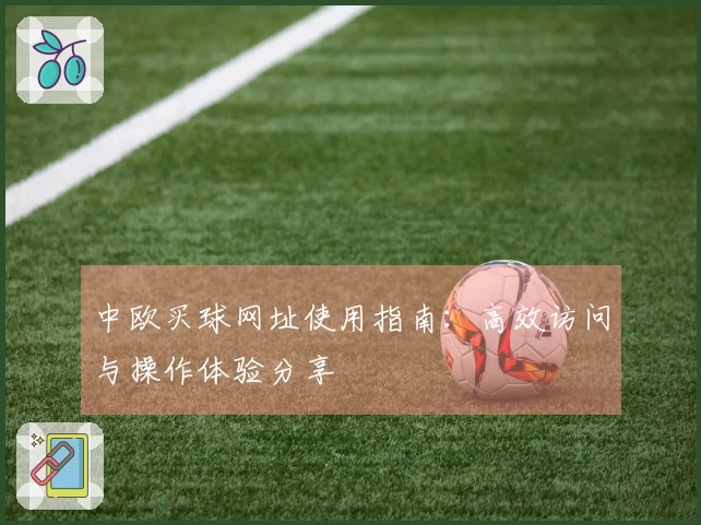 中欧买球网址使用指南：高效访问与操作体验分享