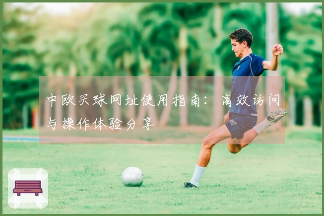 中欧买球网址使用指南：高效访问与操作体验分享