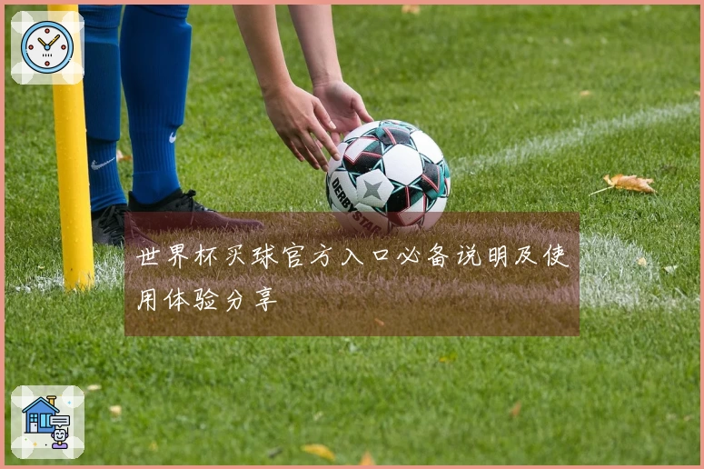 世界杯买球官方入口必备说明及使用体验分享