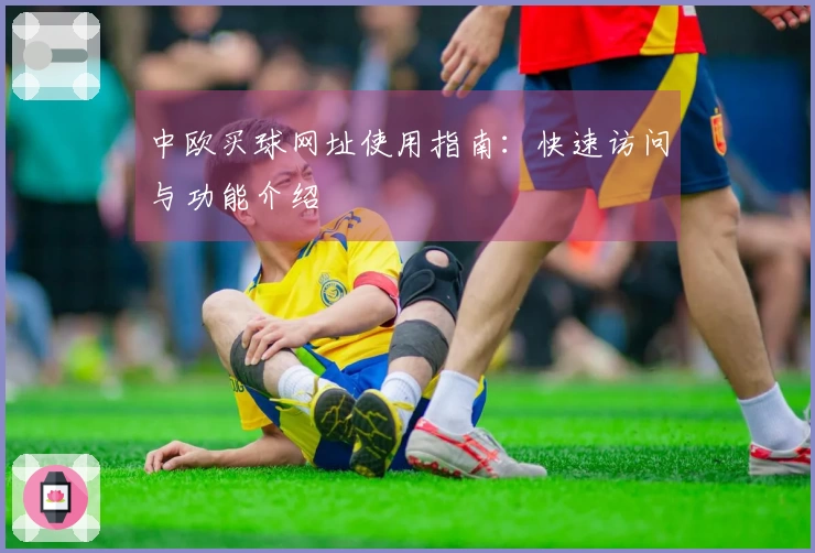 中欧买球网址使用指南：快速访问与功能介绍