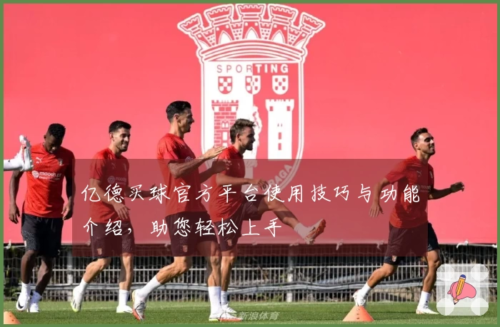亿德买球官方平台使用技巧与功能介绍，助您轻松上手