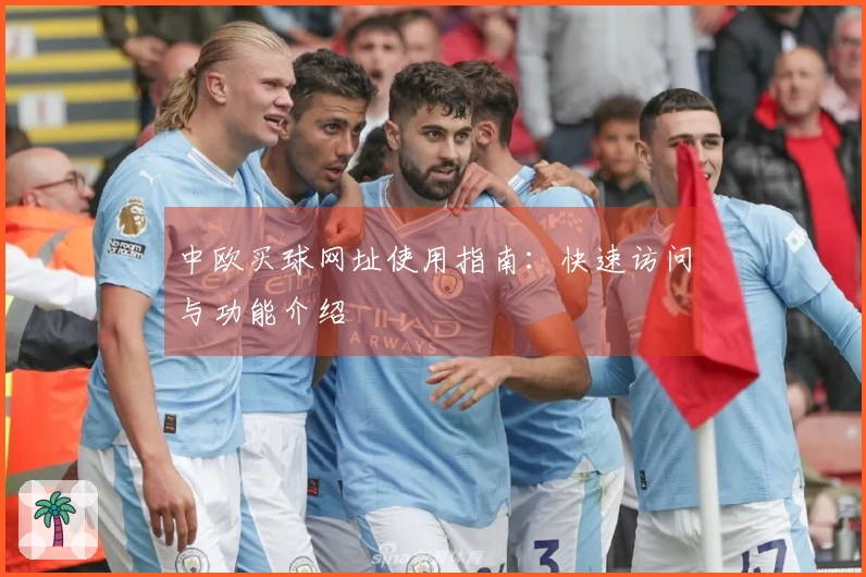 中欧买球网址使用指南：快速访问与功能介绍